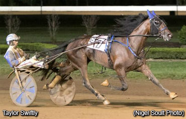 Cecere & Zeron Triple In Kentucky Sires