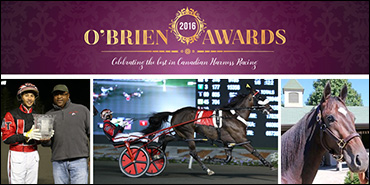 Wiggle It Jiggleit Captivates Canada