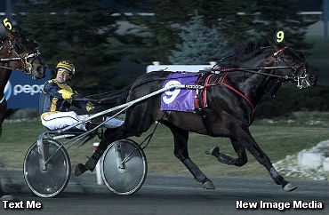 Text Me Wires Gold Foes