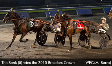 The Bank To Tackle Older Trotters