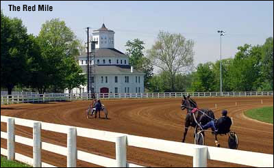 Resolution Between Red Mile, Trainers 