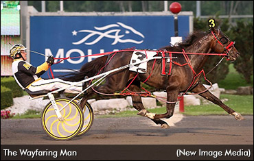 North America Cup Eligibles Surface
