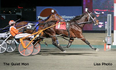 The Quiet Mon Not So Quiet