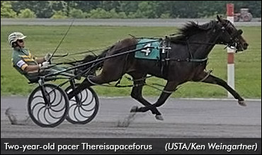 More 2YOs Qualify At Gaitway