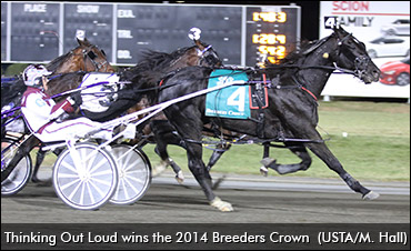 Eight Heavyweights To TVG Pace