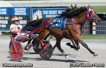 MacIntosh Doubles In Stallion Series