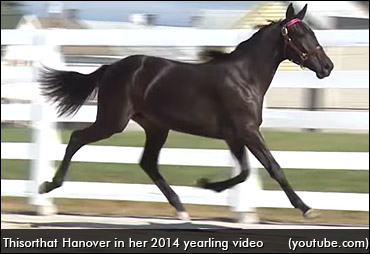 ‘Thisorthat’ Is Where It's At