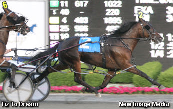 Tiz To Dream Triumphs In Gold Final