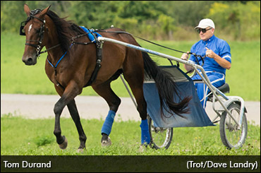 More Than Meets The Eye