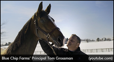 Blue Chip Goes State-Of-The-Art 