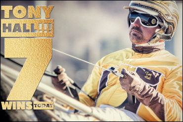 Hall, Medusa Stone Cold Stunners