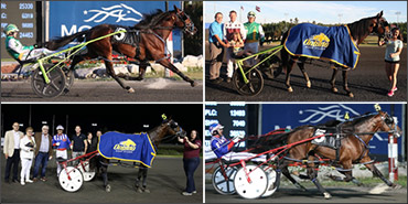 O’Sullivan Squad Set For Battle