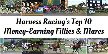 Harness Racing's 10 Richest Females