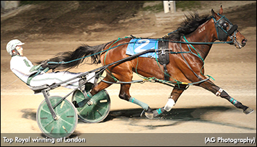 Top Royal Rolls In London