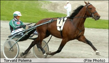 Elitlopp To Torvald Palema