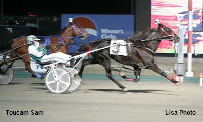 Toucam Sam Proves He Can Fly