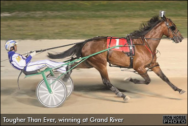 Tougher Than Ever Seeks Rebound