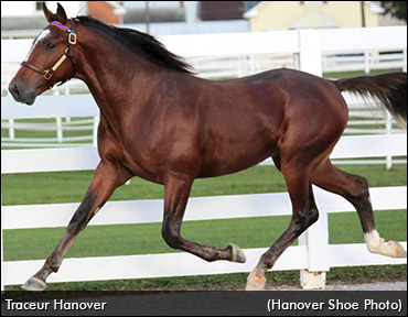 Traceur Hanover Tops Final Session