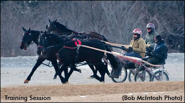 Call For 2012 Two-Year-Olds