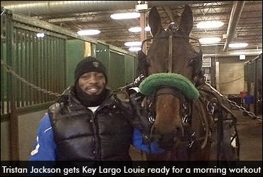 CFLer Loves Standardbreds