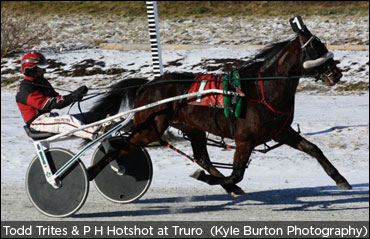 Todd Trites In Toronto