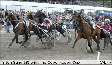 Swedish Trio To Maple Leaf Trot