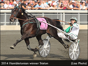 Trixton Wins The Hambletonian