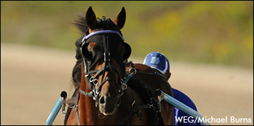 Trot NA Cup Spring Book: #2