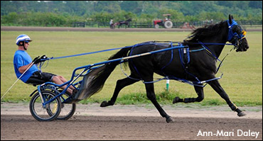 Trot NA Cup Spring Book: #6