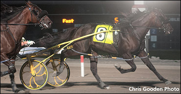 Trot NA Cup Spring Book: #8