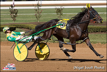 Trot N.A. Cup Spring Book: #1