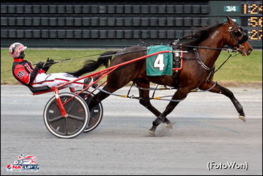 Trot N.A. Cup Spring Book: #7