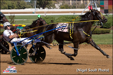 Trot N.A. Cup Spring Book: #8