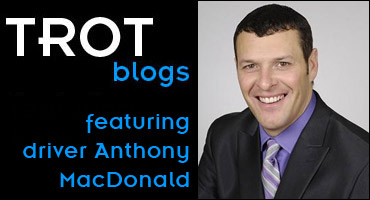 MacDonald Blog On OSS Horses