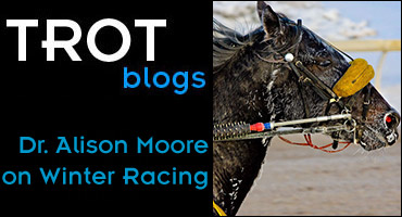 Dr. Alison Moore On Winter Racing