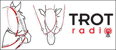 Bitless Bridle Approved In Europe