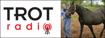 Teaching Troubled Kids Horse Sense