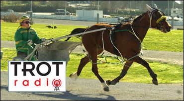 "Zenyatta of BC" Goes For 12th Straight