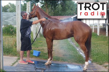 Not Your Ordinary Comeback