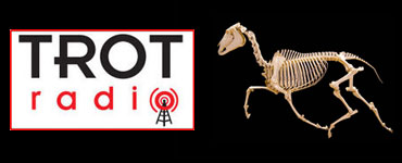 Celebrating The Horse On Trot Radio