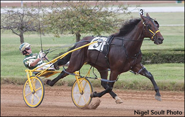 Trot N.A. Cup Spring Book #3