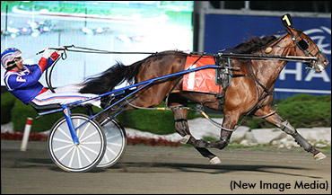 Trot N.A. Cup Spring Book #5