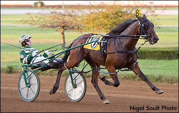 Trot N.A. Cup Spring Book #6