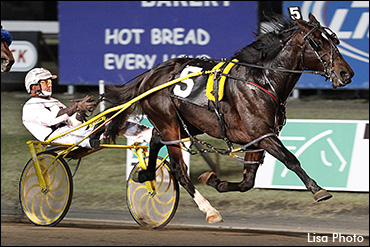 Trot N.A. Cup Spring Book #7