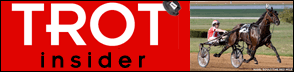 Top Website Videos of 2008