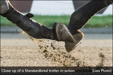 Support For Centralized Drug Rules