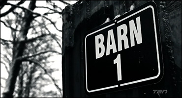 Artists Pay Tribute To Classy Lane