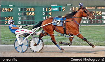 $2,200 Horse Tackles Open Ranks