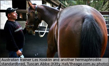 Pacing Hermaphrodite Found Down Under