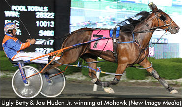 Mare Survives Collision With Truck